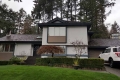 Before - Front